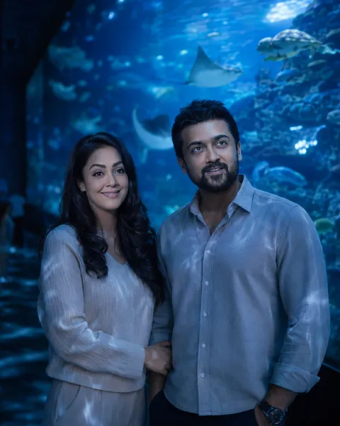 Aquarium, Blue Glow